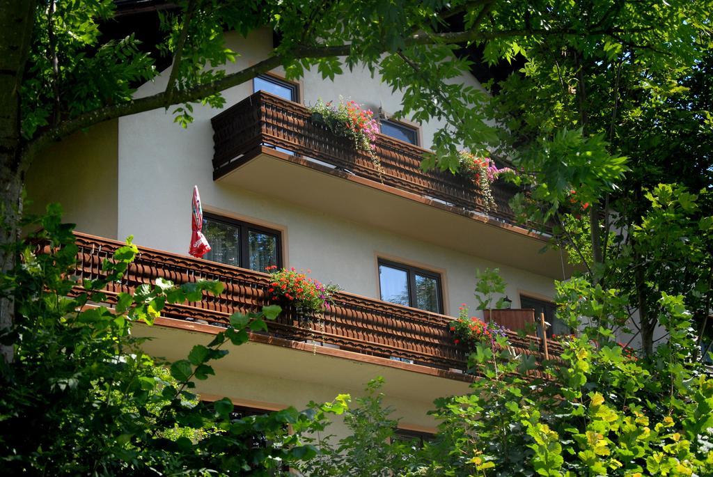 Fruehstueckspension Wiesenhaus Miesenbach  エクステリア 写真